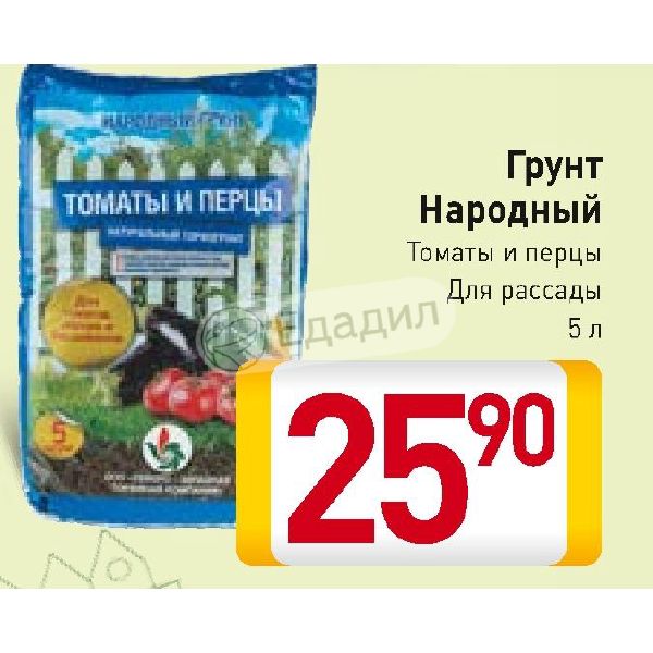 Семена бамбук с алиэкспресс Семена бамбук с алиэкспресс