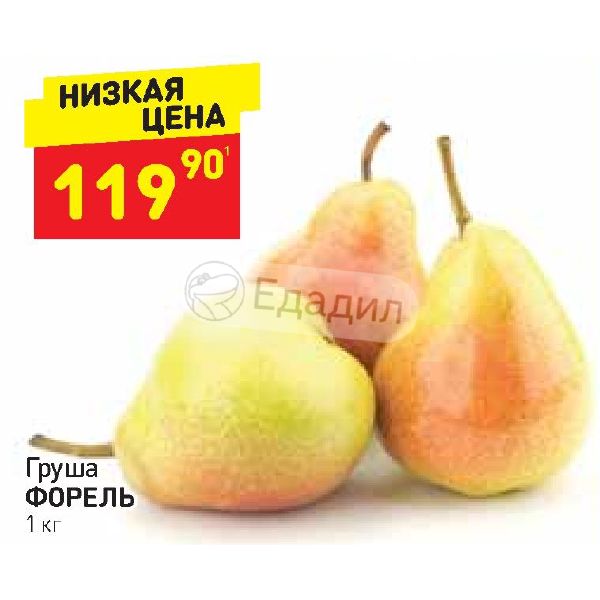 Магазин Грушка Волгоград Официальный Сайт