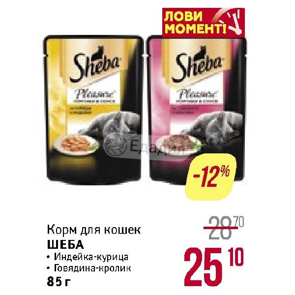 Шеба Акции В Магазинах