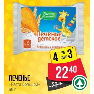 Расти Большой Интернет Магазин