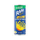 Rani Floats Mango No Added Sugar 240Ml