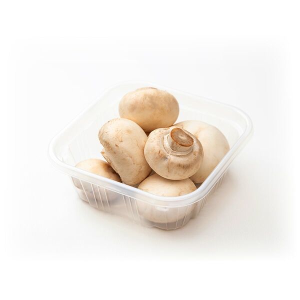 Mushroom White Fresh (Pack)