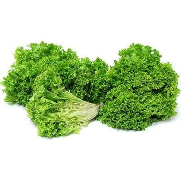 Lettuce Lollo Bionda (Pack)