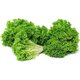 Lettuce Lollo Bionda (Pack)