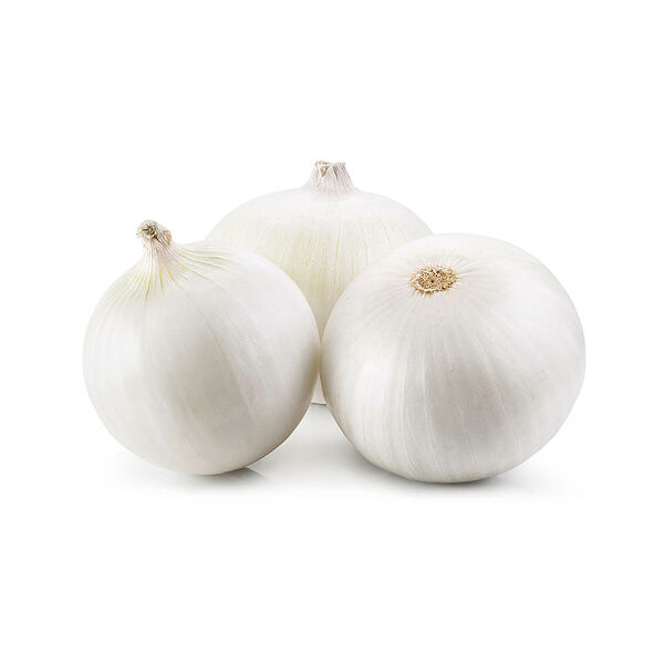 Onion White