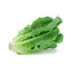 Fresh Leaf Vegetables Washed Lettuce  Pack