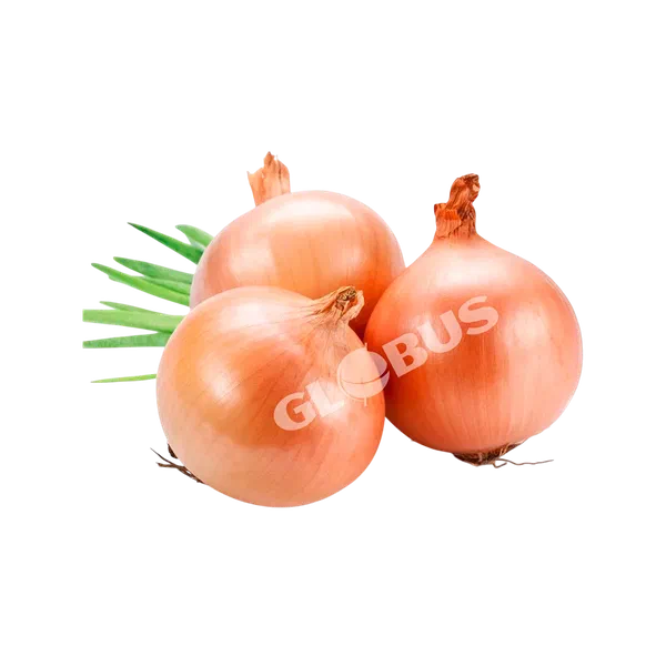 Лук репчатый вес