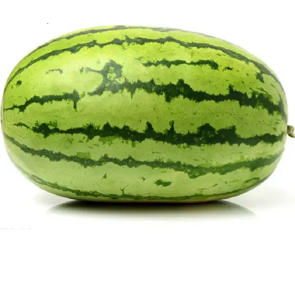 LONG WATERMELON WITH JUICY SWEET TEXTURE