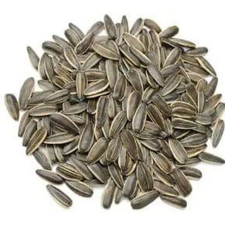 Sunflower Seeds Salted (Kg)