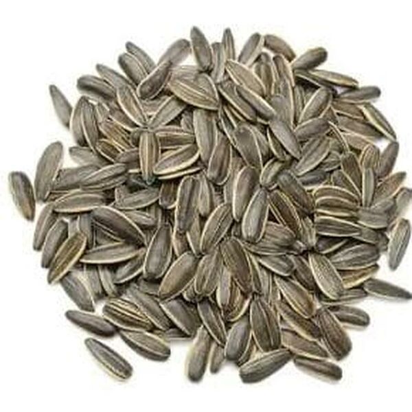 Sunflower Seeds Salted (Kg)
