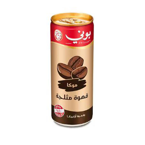 Bonny Iced Coffee Mocha 250Ml