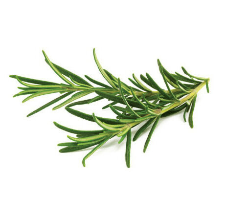 Fresh Rosemary 30g