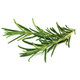 Fresh Rosemary 30g