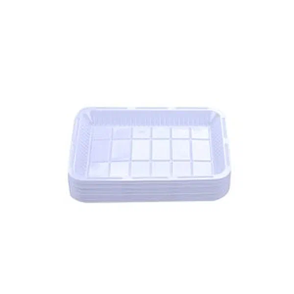 GRAND STAR TRADITIONAL DISPOSABLE PLASTIC PLATES NO. 2 20-PC