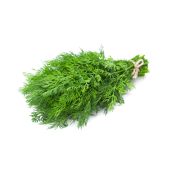 Dill (Washed)