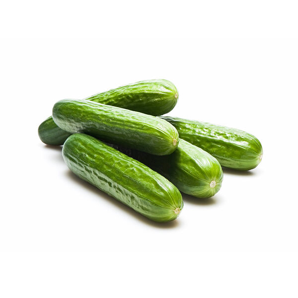 Cucumber