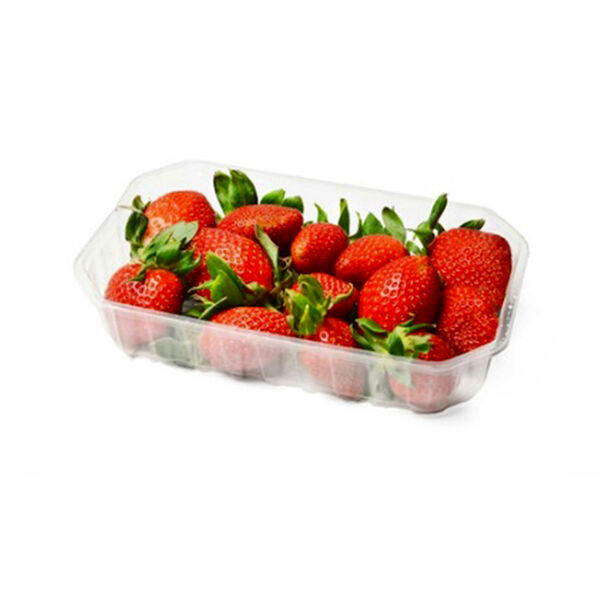 Strawberry Egyptian (Pack)