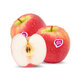 Apple Pink Lady
