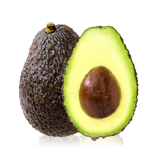 Avocado African