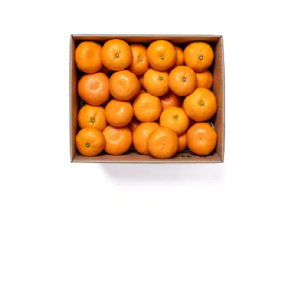 FRESH AFANDI CITRUS PACK FOR DAILY SNACKING