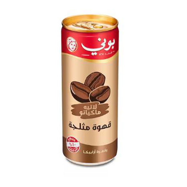 Bonny Iced Coffee Latte 250Ml