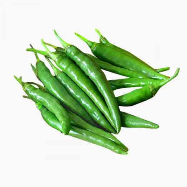 INDIAN HOT CHILLIES WITH STRONG SPICY KICK