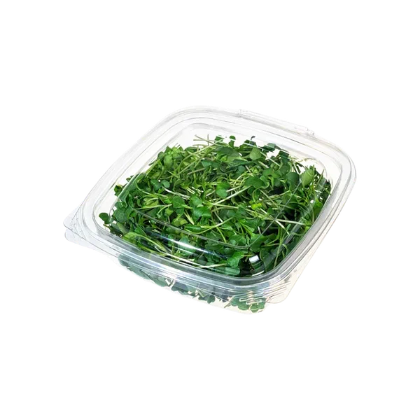 Микрозелень брокколи шт