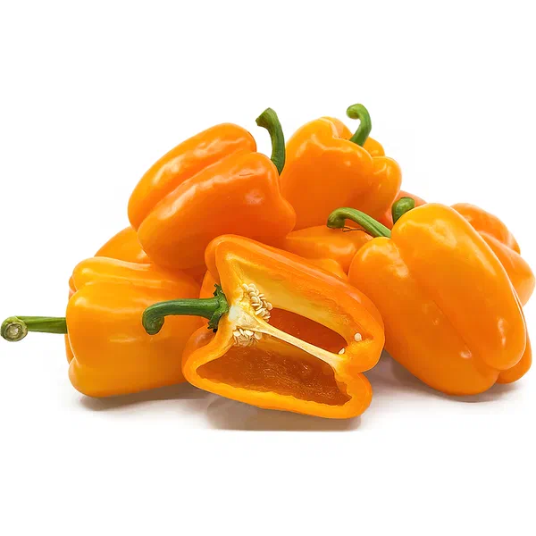 FRESH ORANGE CAPSICUM HOLLAND QUALITY