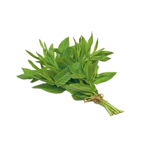 Basil (Washed)