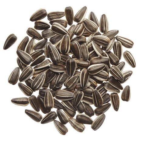 Sunflower Seeds Raw (Kg)