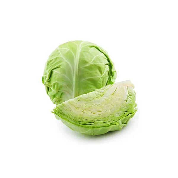 FRESH GREEN CABBAGE FOR EVERYDAY COOKING
