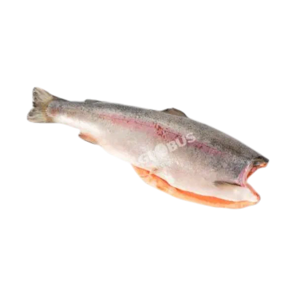 Форель балыгы салм.  