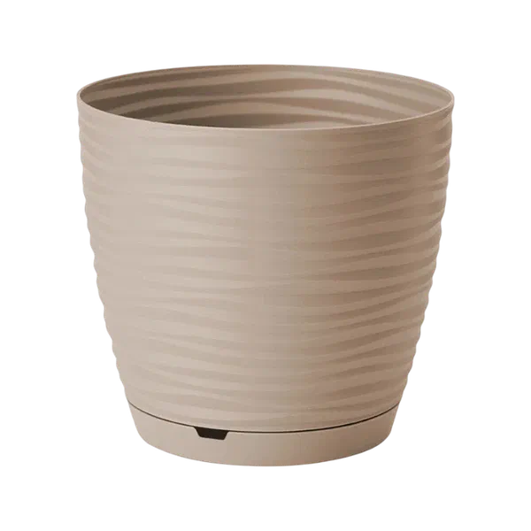 Saffron гүл идиши 2,6 л