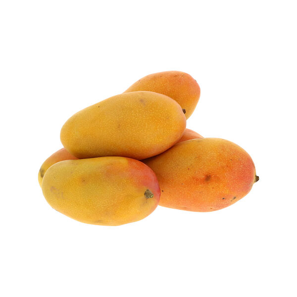 Mango Taimor Kg Yemen