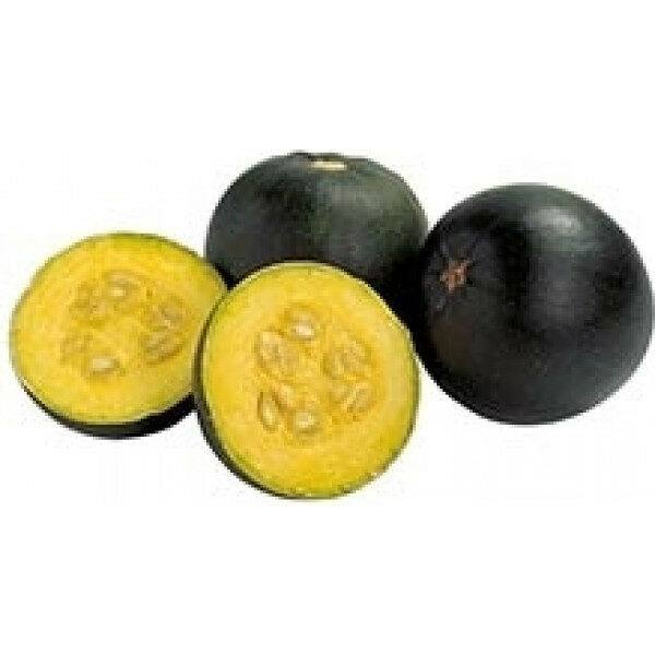 Gem Squash 1 kg