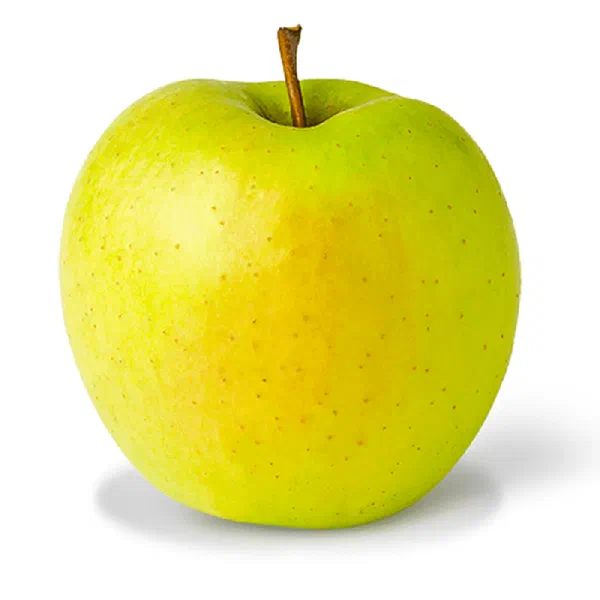 GOLDEN APPLES WITH MILD SWEET FLAVOR AND CRUNCH