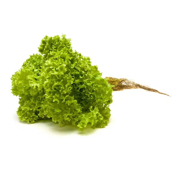 LOLLO BIONDA LETTUCE FRESH PACK