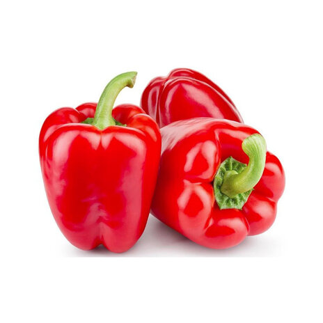 Capsicum Red Big Tray