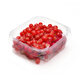 Red Currant (Pack)