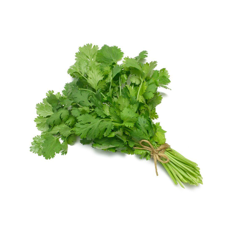 Coriander (Washed)