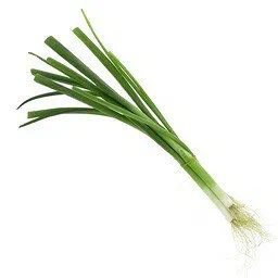 Spring Onion Bunch
