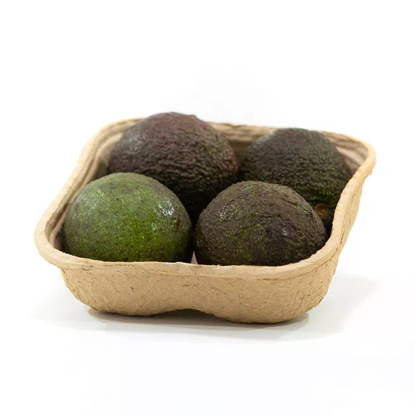 Avocado 4 Pack