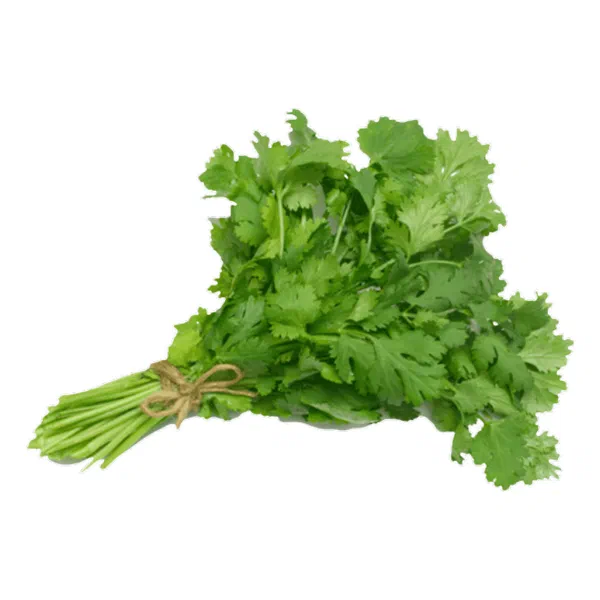 FRESH CORIANDER LEAVES PACK FOR DAILY USE