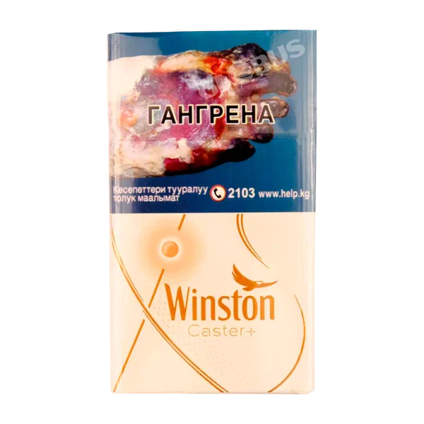 Сигареты Winston XStyle Caster+ 1пачка Казахстан 10