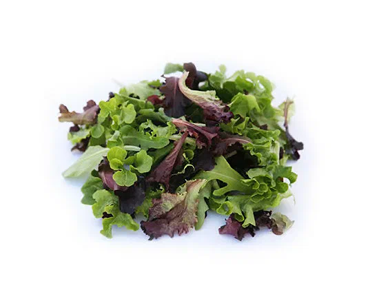 Italian Lettuce 200g