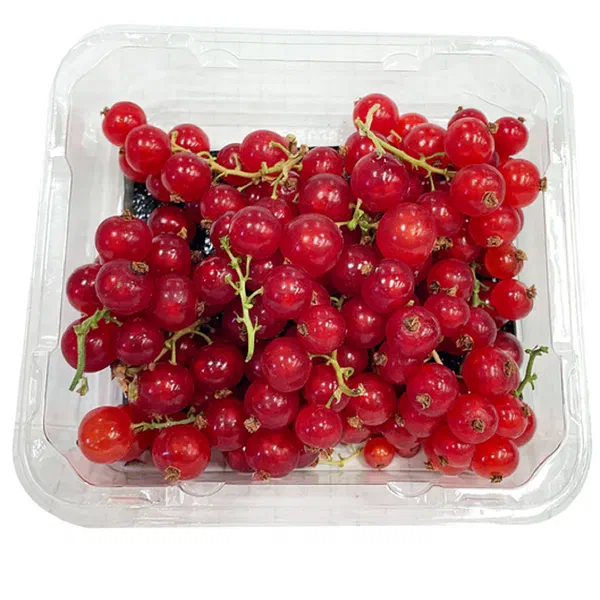 RED CURRANT BERRY PACK WITH TANGY FLAVOR