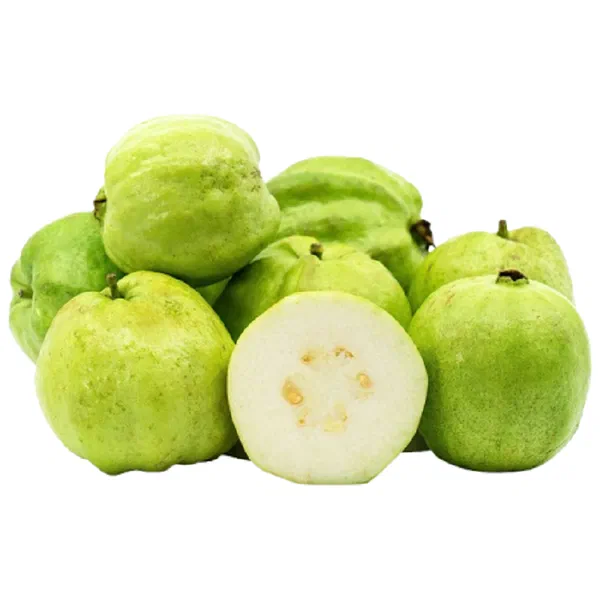 FRESH GUAVA CARTON PACKED WITH NATURAL GOODNESS