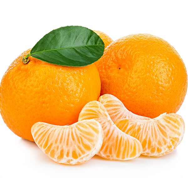 Mandarin Egypt Big Tray