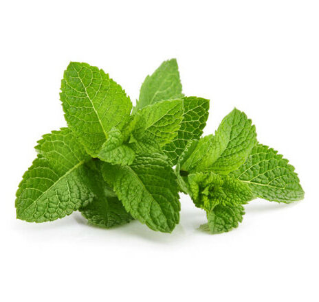 Fresh Mint 30g