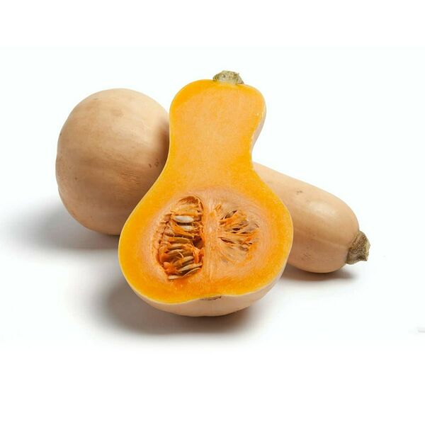 Butternut Pumpkin